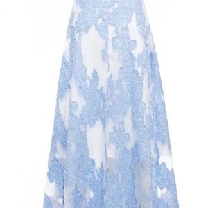 3-dimensional embroidery skirt